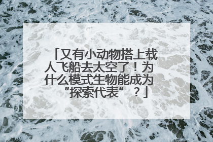又有小动物搭上载人飞船去太空了！为什么模式生物能成为“探索代表”？