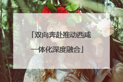双向奔赴推动西咸一体化深度融合