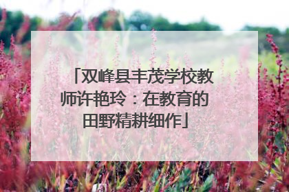 双峰县丰茂学校教师许艳玲：在教育的田野精耕细作
