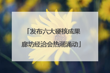 发布六大硬核成果 廊坊经洽会热潮涌动