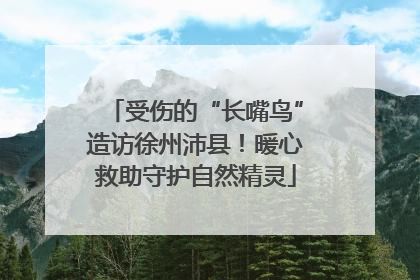 受伤的“长嘴鸟”造访徐州沛县！暖心救助守护自然精灵