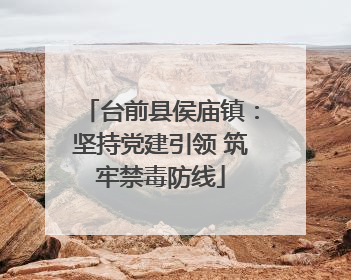 台前县侯庙镇：坚持党建引领 筑牢禁毒防线