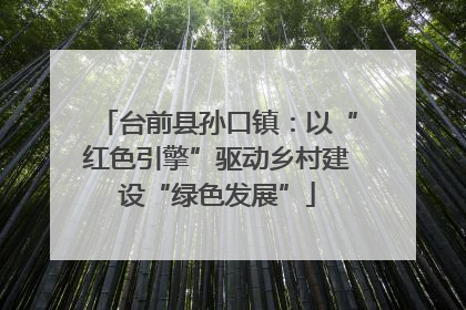 台前县孙口镇：以“红色引擎”驱动乡村建设“绿色发展”