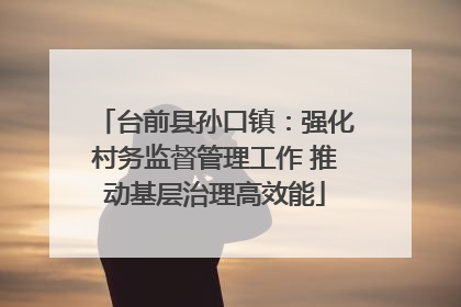台前县孙口镇：强化村务监督管理工作 推动基层治理高效能