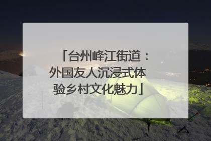 台州峰江街道：外国友人沉浸式体验乡村文化魅力