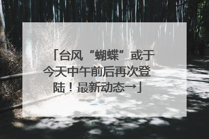 台风“蝴蝶”或于今天中午前后再次登陆！最新动态→
