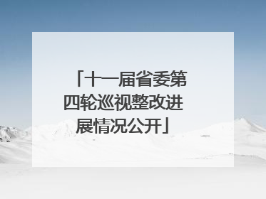 十一届省委第四轮巡视整改进展情况公开