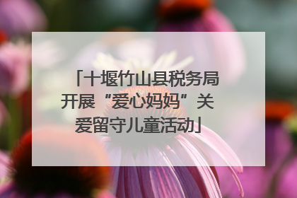 十堰竹山县税务局开展“爱心妈妈”关爱留守儿童活动