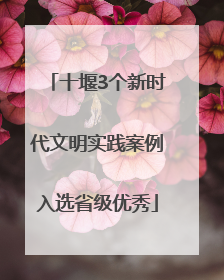 十堰3个新时代文明实践案例入选省级优秀