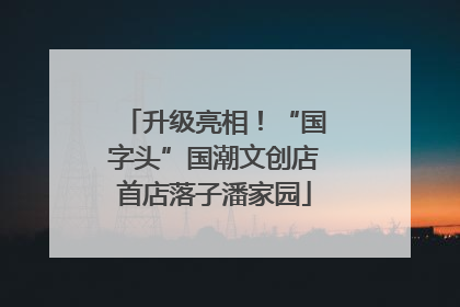 升级亮相！“国字头”国潮文创店首店落子潘家园