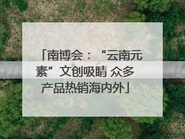 南博会：“云南元素”文创吸睛 众多产品热销海内外
