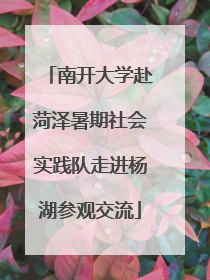 南开大学赴菏泽暑期社会实践队走进杨湖参观交流