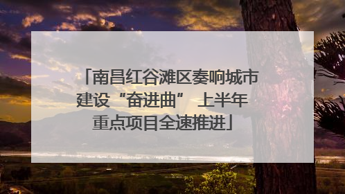 南昌红谷滩区奏响城市建设“奋进曲” 上半年重点项目全速推进