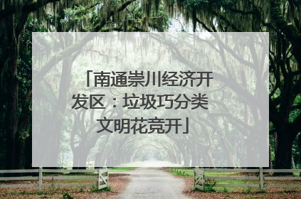 南通崇川经济开发区：垃圾巧分类 文明花竞开
