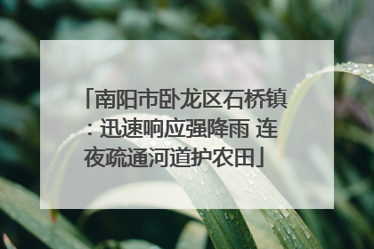 南阳市卧龙区石桥镇：迅速响应强降雨 连夜疏通河道护农田