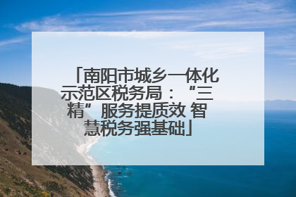 南阳市城乡一体化示范区税务局：“三精”服务提质效 智慧税务强基础