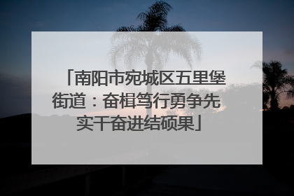 南阳市宛城区五里堡街道：奋楫笃行勇争先 实干奋进结硕果