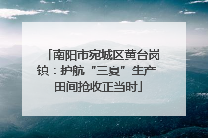 南阳市宛城区黄台岗镇：护航“三夏”生产 田间抢收正当时
