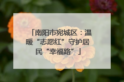 南阳市宛城区：温暖“志愿红”守护居民“幸福路”