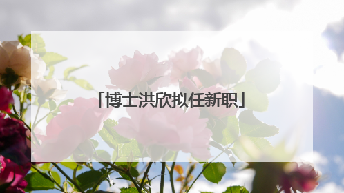 博士洪欣拟任新职