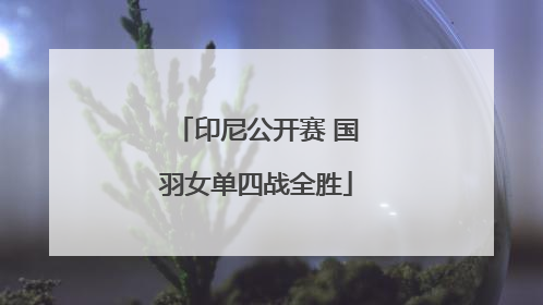 印尼公开赛 国羽女单四战全胜