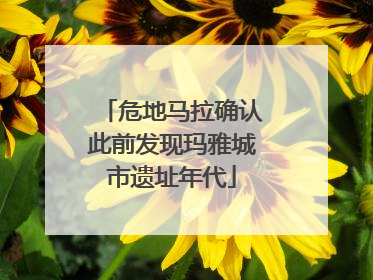 危地马拉确认此前发现玛雅城市遗址年代