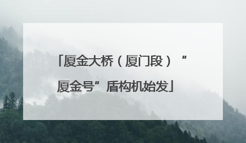 厦金大桥（厦门段）“厦金号”盾构机始发