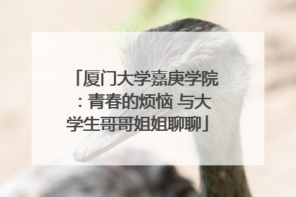 厦门大学嘉庚学院：青春的烦恼 与大学生哥哥姐姐聊聊