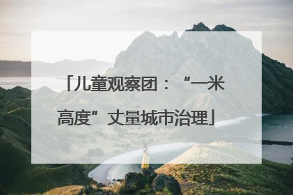 儿童观察团：“一米高度”丈量城市治理