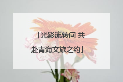 光影流转间 共赴青海文旅之约