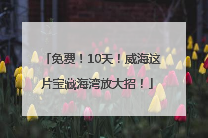 免费！10天！威海这片宝藏海湾放大招！