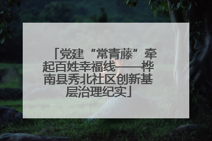 党建“常青藤”牵起百姓幸福线——桦南县秀北社区创新基层治理纪实