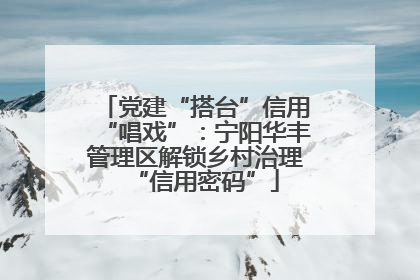 党建“搭台”信用“唱戏”：宁阳华丰管理区解锁乡村治理“信用密码”