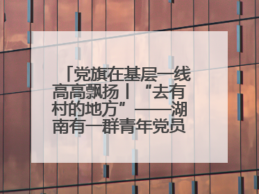 党旗在基层一线高高飘扬丨“去有村的地方”——湖南有一群青年党员这样选择