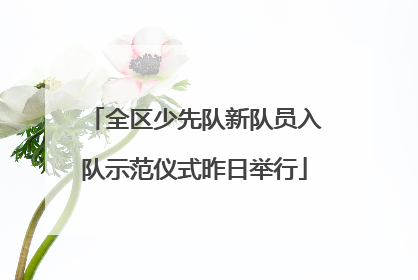 全区少先队新队员入队示范仪式昨日举行