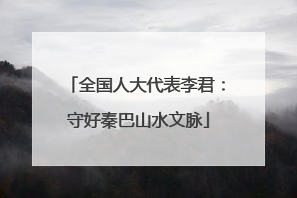 全国人大代表李君：守好秦巴山水文脉