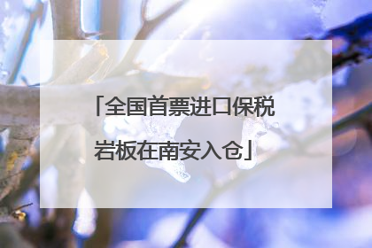 全国首票进口保税岩板在南安入仓
