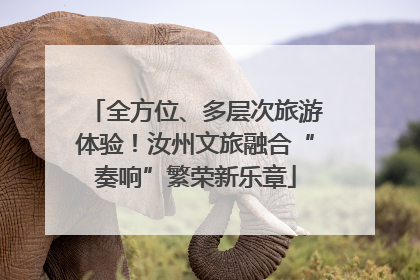 全方位、多层次旅游体验！汝州文旅融合“奏响”繁荣新乐章