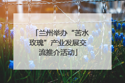兰州举办“苦水玫瑰”产业发展交流推介活动