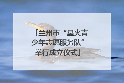 兰州市“星火青少年志愿服务队”举行成立仪式