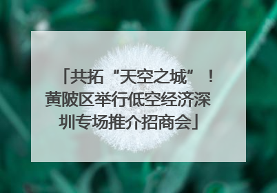 共拓“天空之城”！黄陂区举行低空经济深圳专场推介招商会