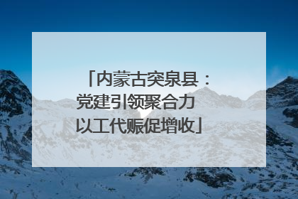 内蒙古突泉县：党建引领聚合力 以工代赈促增收