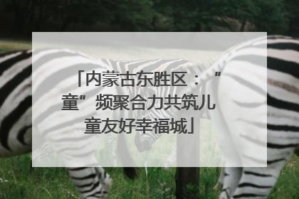 内蒙古东胜区：“童”频聚合力共筑儿童友好幸福城