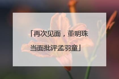 再次见面，董明珠当面批评孟羽童