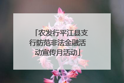 农发行平江县支行防范非法金融活动宣传月活动