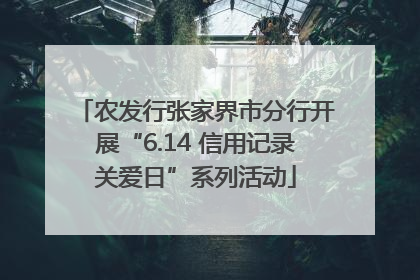 农发行张家界市分行开展“6.14 信用记录关爱日”系列活动