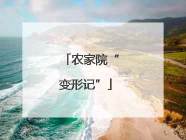 农家院“变形记”
