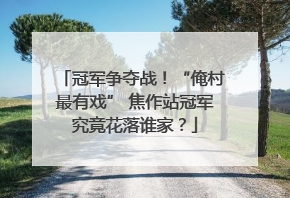 冠军争夺战！“俺村最有戏” 焦作站冠军究竟花落谁家？