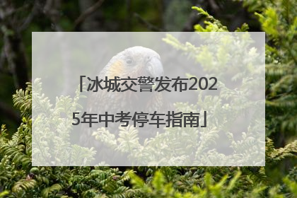 冰城交警发布2025年中考停车指南
