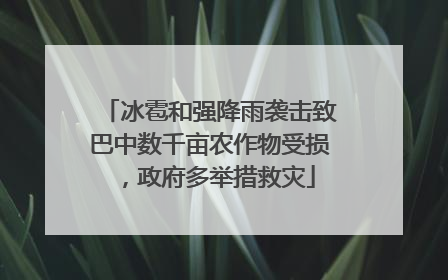 冰雹和强降雨袭击致巴中数千亩农作物受损，政府多举措救灾